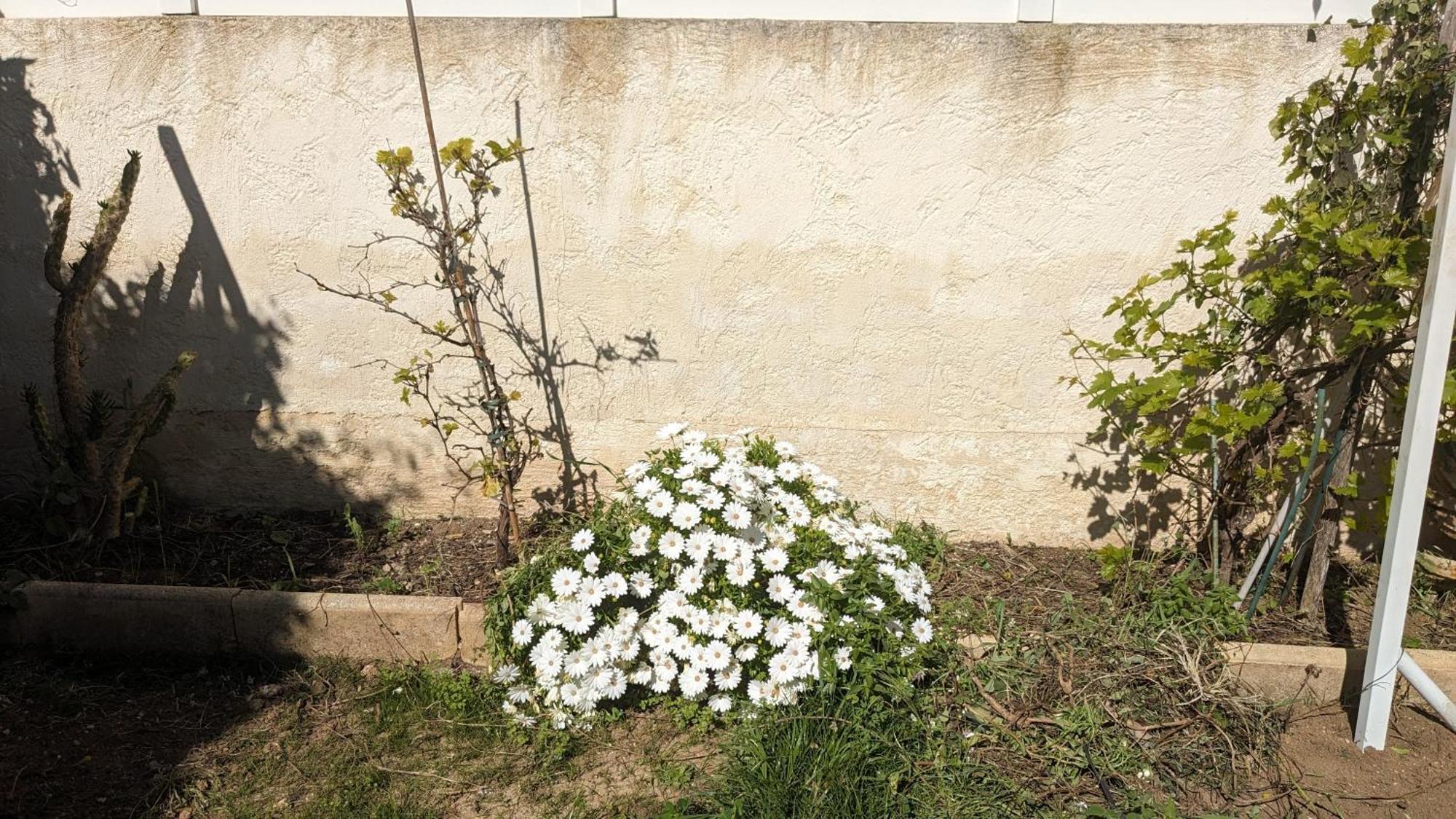 Maisonnette Kalis Calme Avec Climatisation Parking Jardin Cadre Campagne Plages A Pieds Bandol Extérieur photo