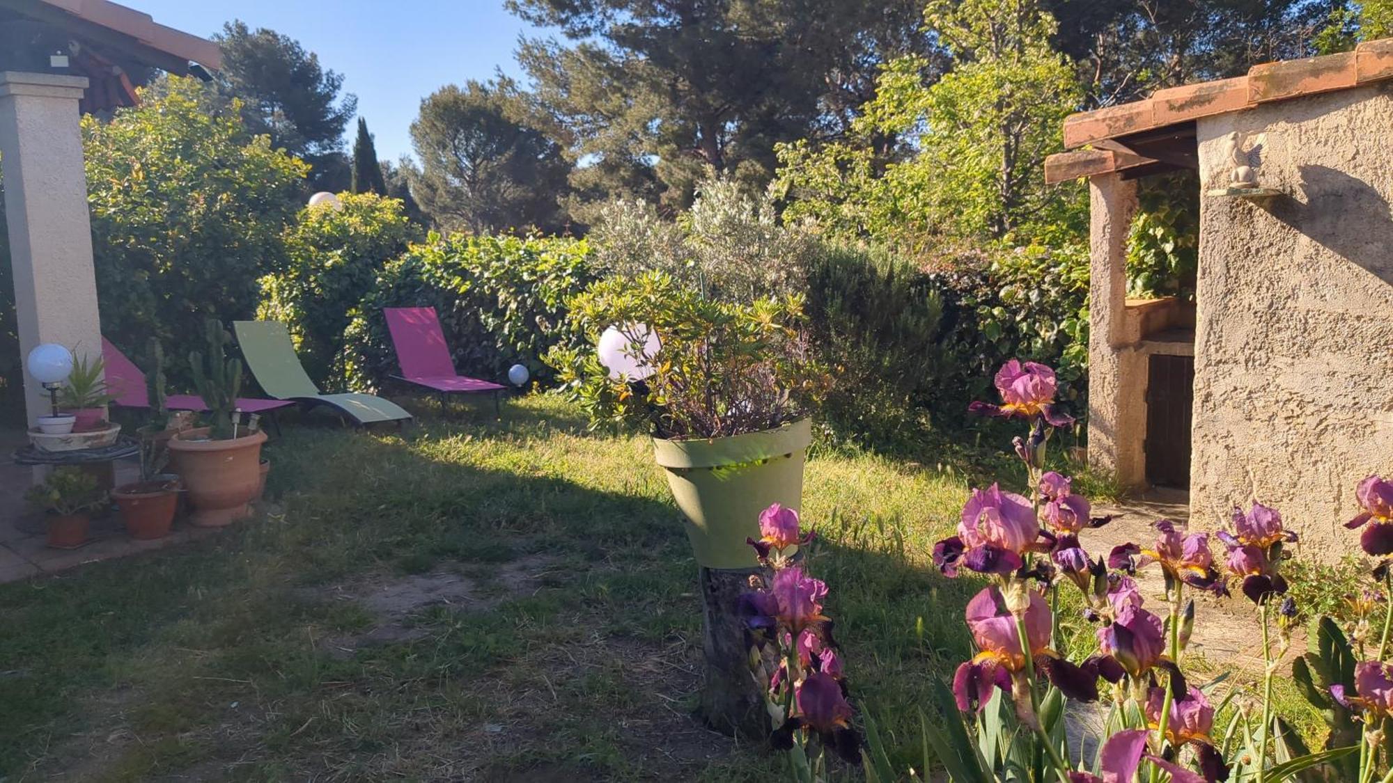 Maisonnette Au Calme Avec Climatisation Parking Jardin Cadre Campagne Plages A Pieds Bandol Extérieur photo
