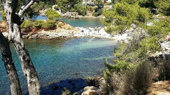 Maisonnette Kalis Calme Avec Climatisation Parking Jardin Cadre Campagne Plages A Pieds Bandol Extérieur photo